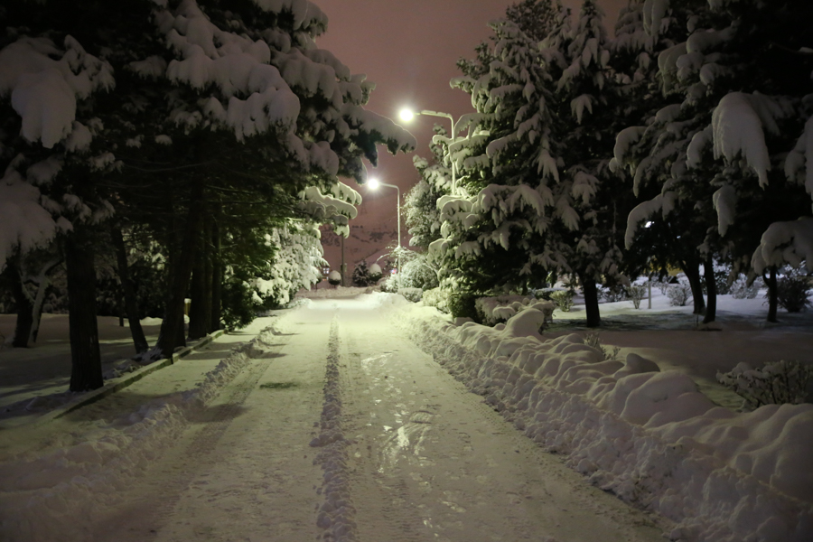 صورة مصغّرة